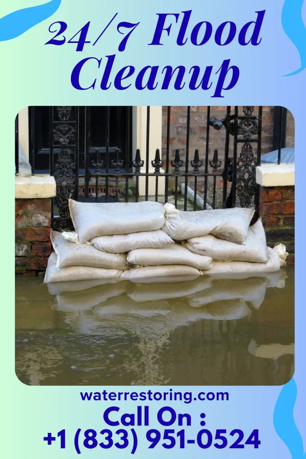 24/7 Flood Cleanup in Woodland Heights, PA