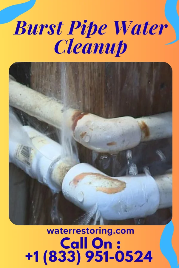 Burst Pipe Water Cleanup in Woodland Heights, PA