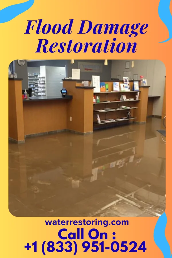 Flood Damage Restoration in Woodland Heights, PA