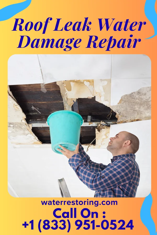 Roof Leak Water Damage Repair in Woodland Heights, PA