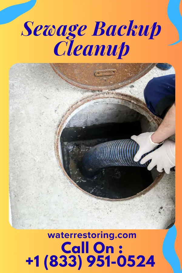Sewage Backup Cleanup in Woodland Heights, PA