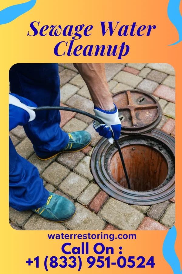 Sewage Water Cleanup in Woodland Heights, PA
